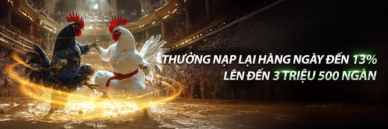 Đá Gà Thomo Ngày 16 Tháng 8 - Sân đấu trực tiếp